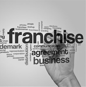 Franchise Consulting - Landing Page (B&W)